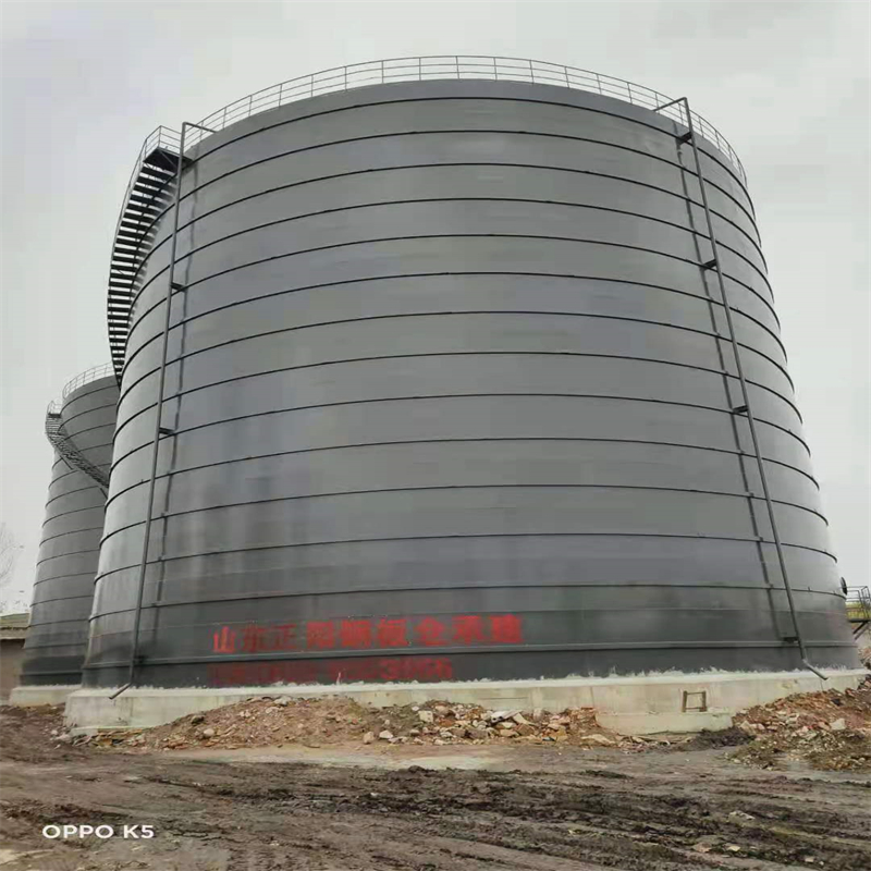 中原镇3万吨大型钢板库