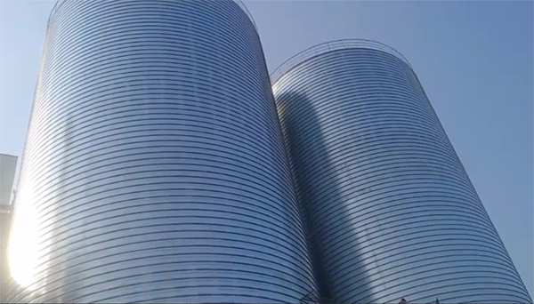 中原镇2座混凝土高架卷板仓